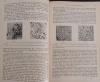 STAPP, ZENTRALBLATT für Bakteriologie, Parasitenkunde und Infektionskrankheiten.